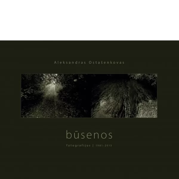 Būsenos • Aleksandras Ostašenkovas