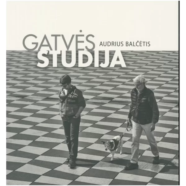 Gatvės studija • Audrius Balčėtis