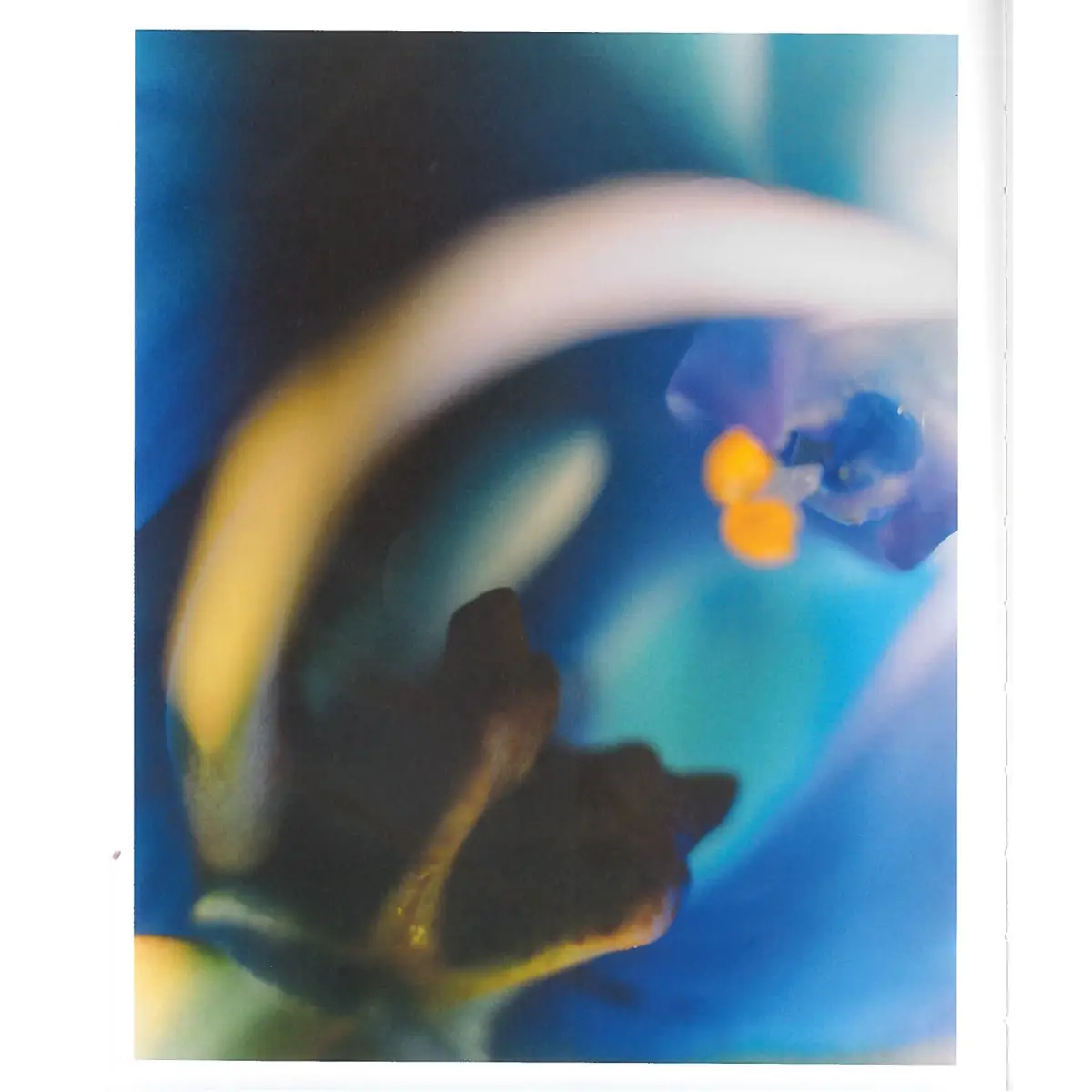 Guys And Blue Flowers • Gerda Paliušytė