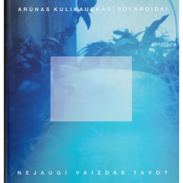 Nejaugi vaizdas tavo? • Arūnas Kulikauskas