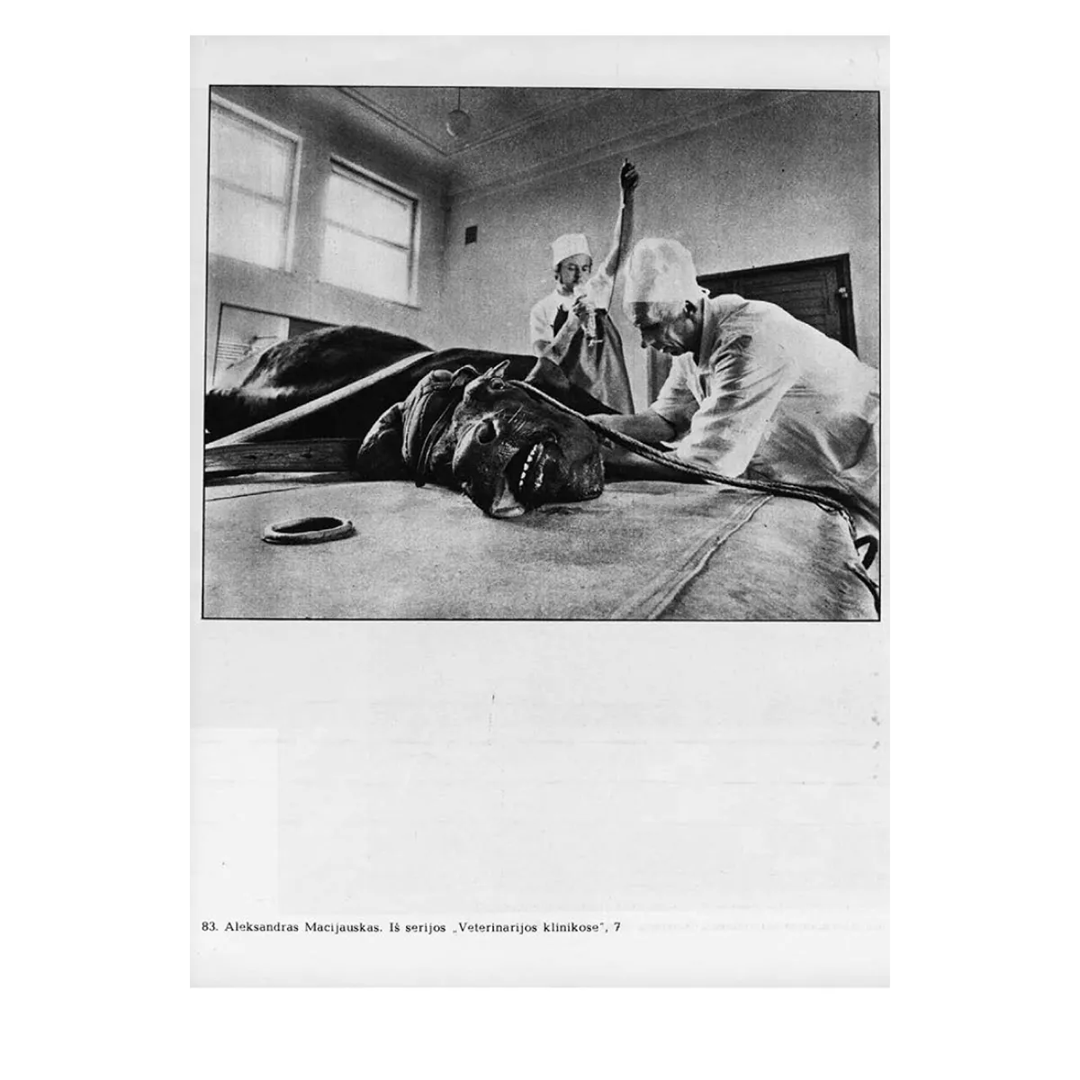 The Lithuanian SSR Society of Art Photography • Vytautas Michelkevičius The Lithuanian SSR Society of Art Photography • Vytautas Michelkevičius