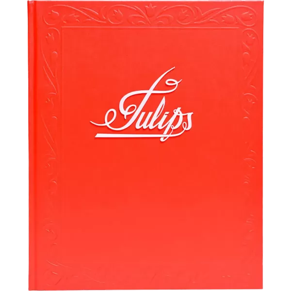 Tulips • Andrew Mikšys